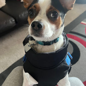 Meet your Posher, Super